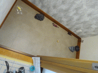 シック＆モダンのラグジュアリートイレに大変身　目黒区M様邸